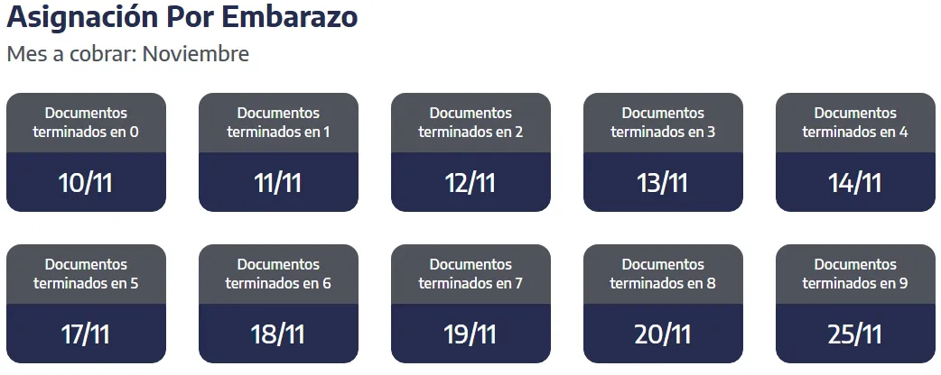 Captura de pantalla_31-10-2025_164236_www.anses.gob.ar