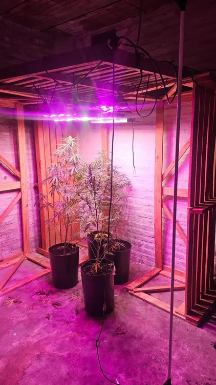 2025-12-10NID_284775O_5