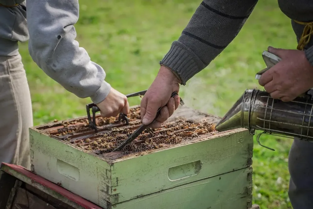 unnamed-17-1536x1023