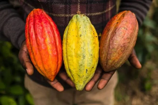 523fa0866cca67355d0366809472830b