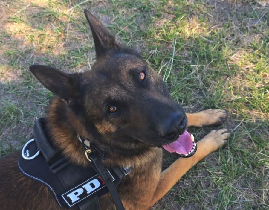 2025-11-24NID_284643O_1