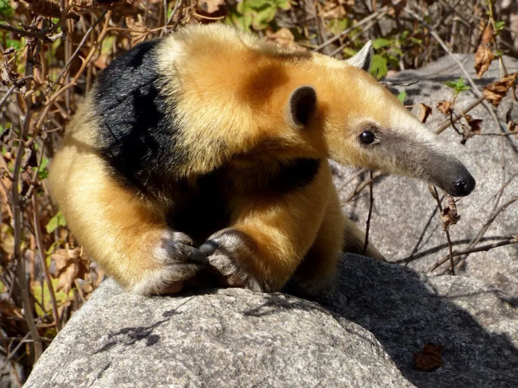 WhatsApp-Image-2024-06-04-at-09.13.36-1-1024x768