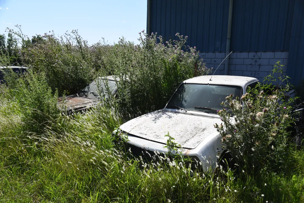 2023-12-28NID_279495O_3