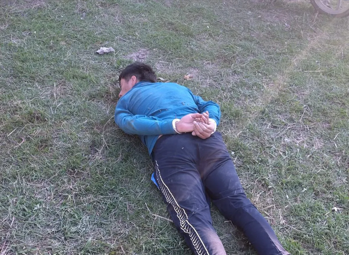 2025-09-14NID_284074O_2