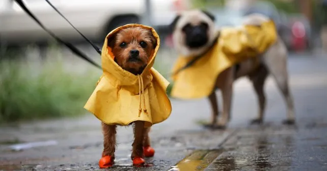 lluvia deperri