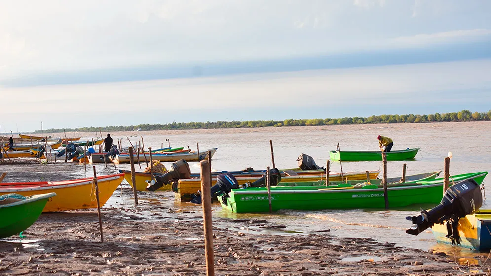 Isla-de-los-Mastiles-2-web